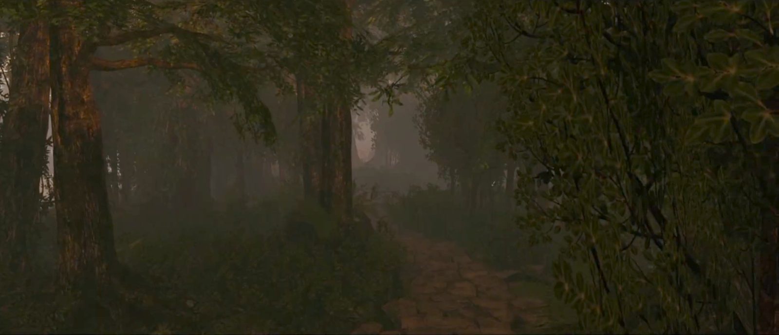 Forest path on Ossus